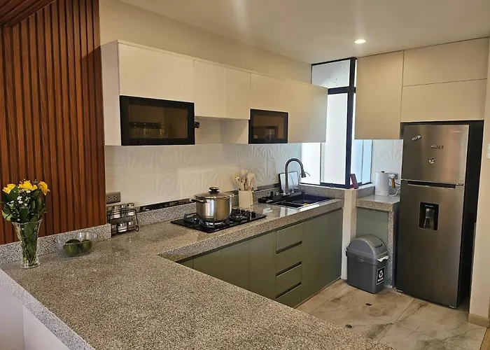 Departamento Exclusivo En Con Jacuzzi Privado Y Diseno Moderno Apartment *